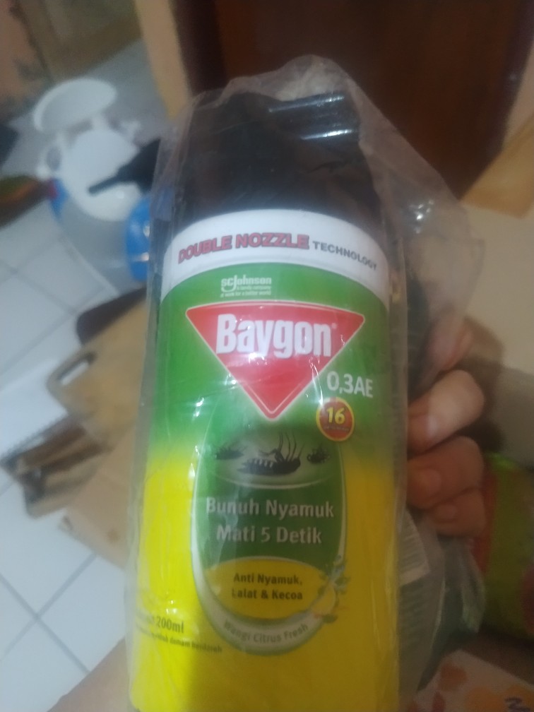 Baygon Aerosol 200ml Anti Nyamuk Medan