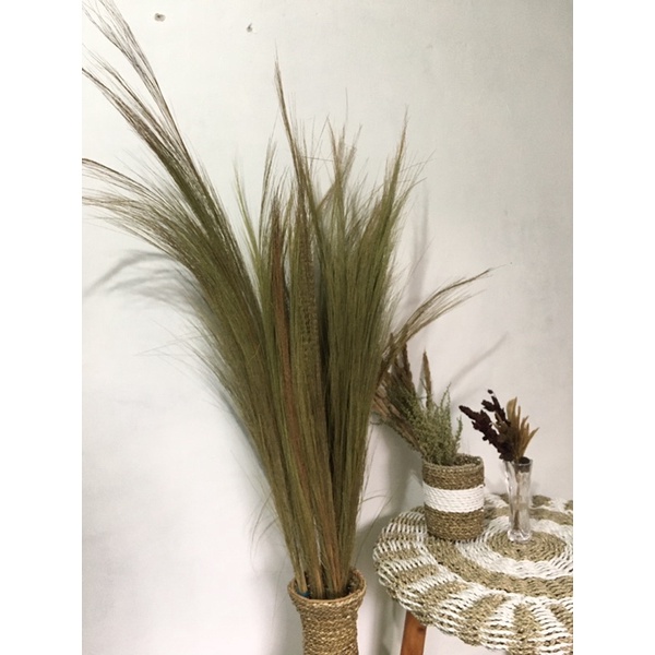 7pcs PAMPAS RAYUNG - dekorasi rumah dan pesta - hiasan vas dan bejana