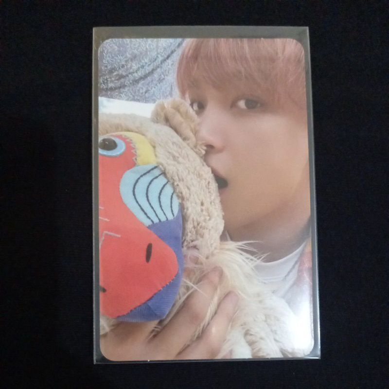 PC Haechan Boneka