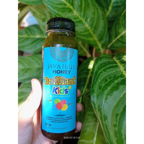 

Madu Brilliant Kids Java hills honey