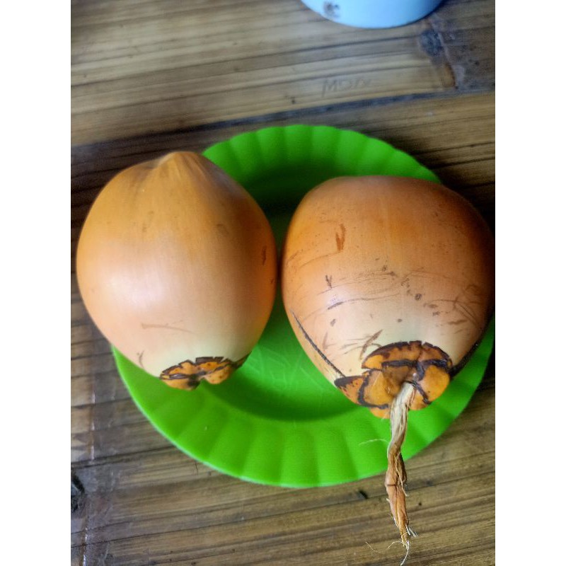 

jual buah kelapa muda kuning per 2 buah