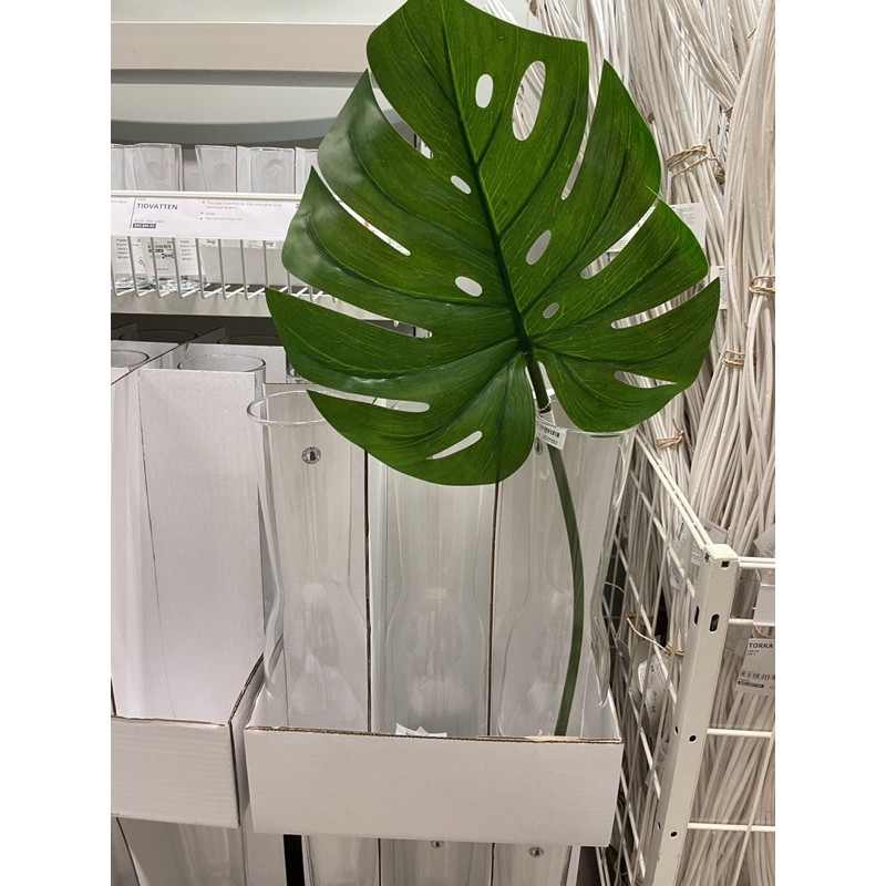 daun janda bolong artificial bunga plastik tinggi 80cm daun janda bolong besar