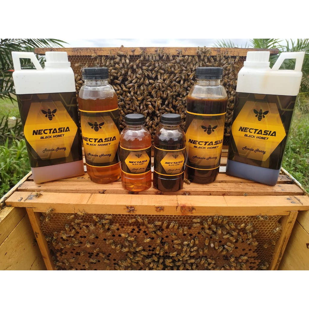 

(1KG) MADU HUTAN HITAM DAN KUNING MURNI - HUTAN AKASIA SUMATERA