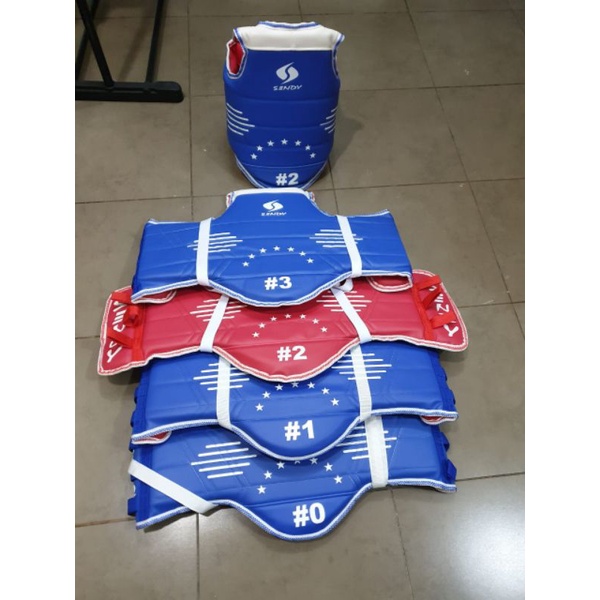 TAEKWONDO body sendy