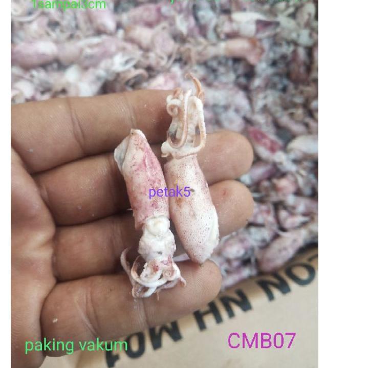 

SALE!!Cumi asin beby 1kg/ cumi asin baby/cumi asin rebus/cumi asin kecil|SQ3