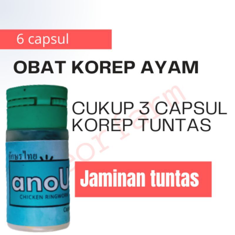 obat korep ayam capsul ampuh