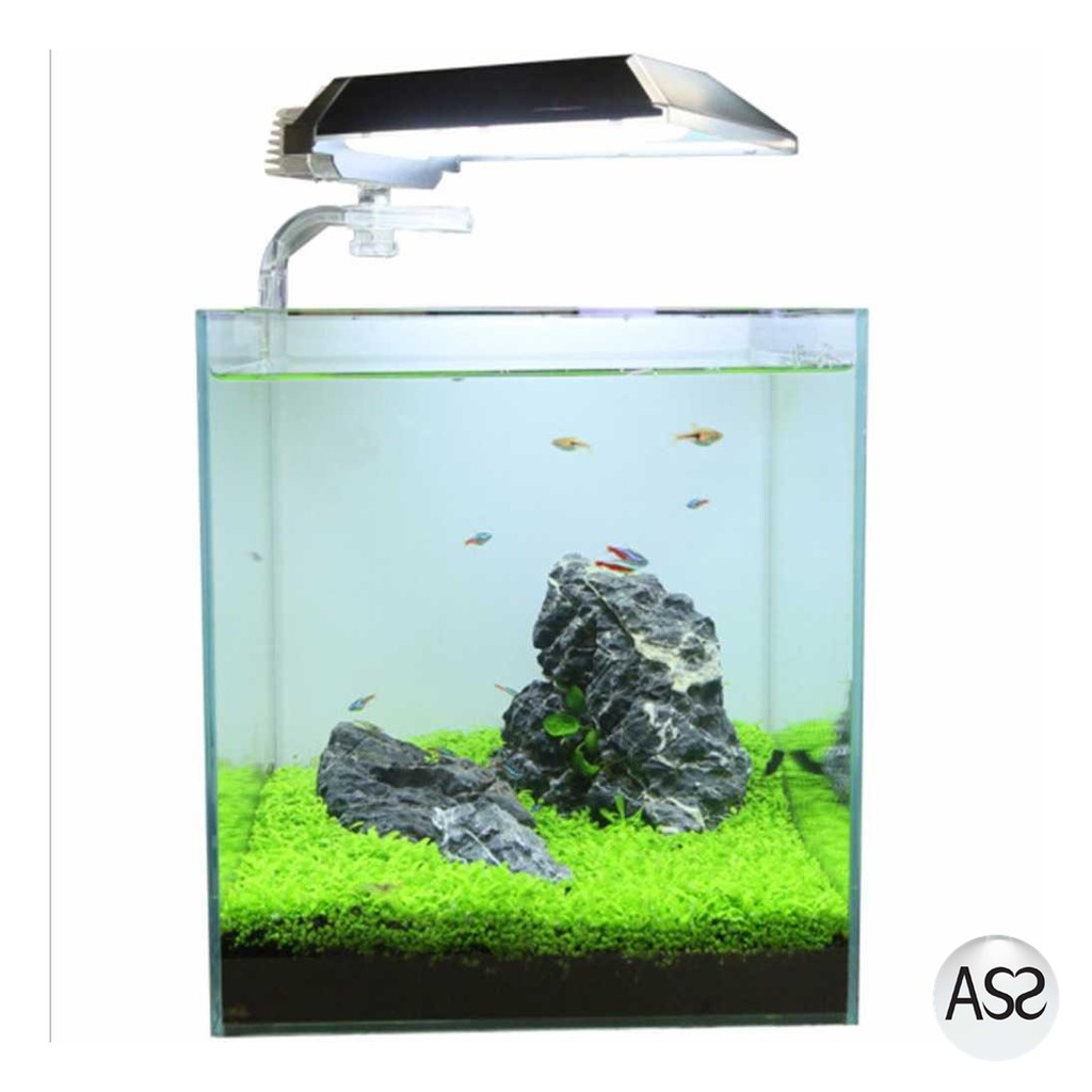 ASS Shop - Bibit Rumput Air Dekorasi Aquarium Landscape Ornament - H0027