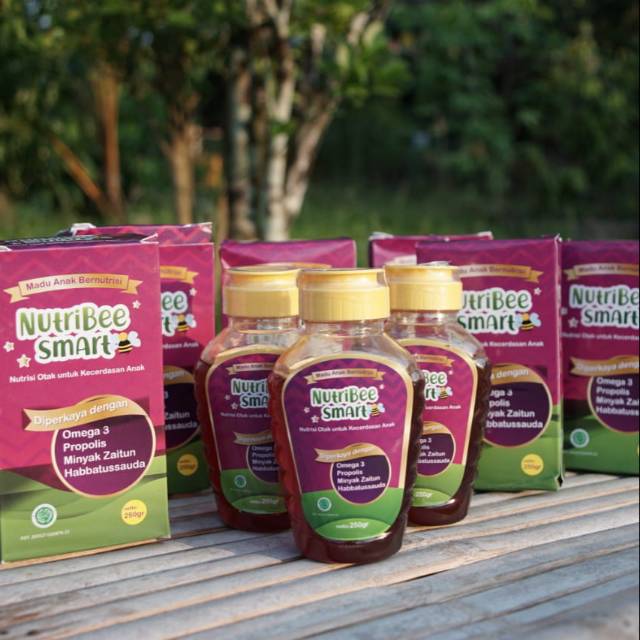 

NutriBeeS