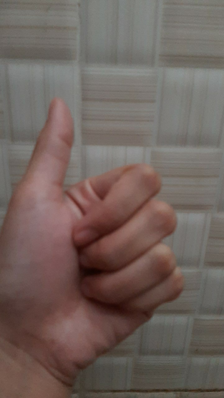 He 260 Fashion Premium Tas Belanja Lipat Motif Reusable Ramah Lingkungan Baggu Bag Bagcu Motif