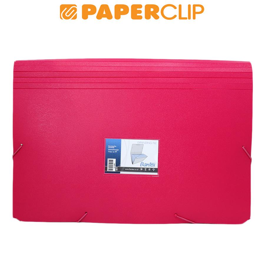 

EXPANDING FILE BANTEX 3601 FC 61 GRAPE