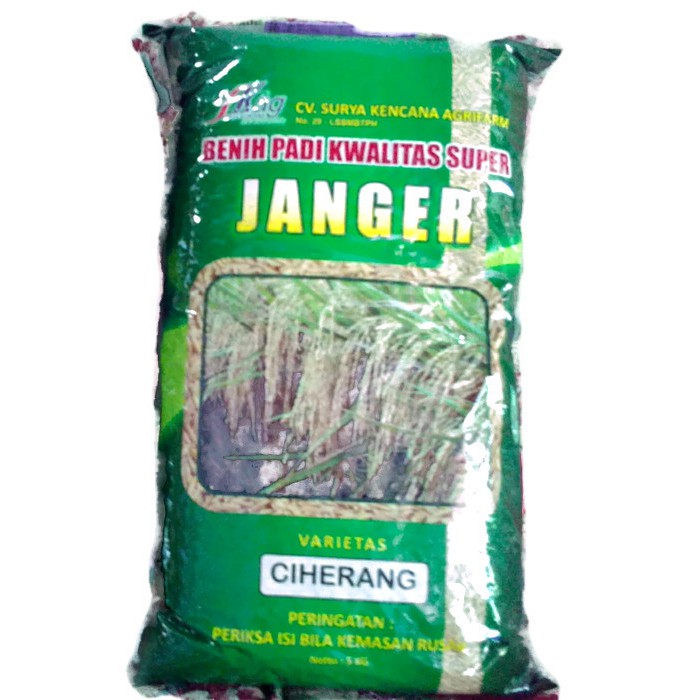 BENIH PADI CIHERANG JANGER|BENIH PADI ANAKAN PRODUKTIF|BENIH PADI UNGGUL CIHERANG JANGER|BENIH PADI 