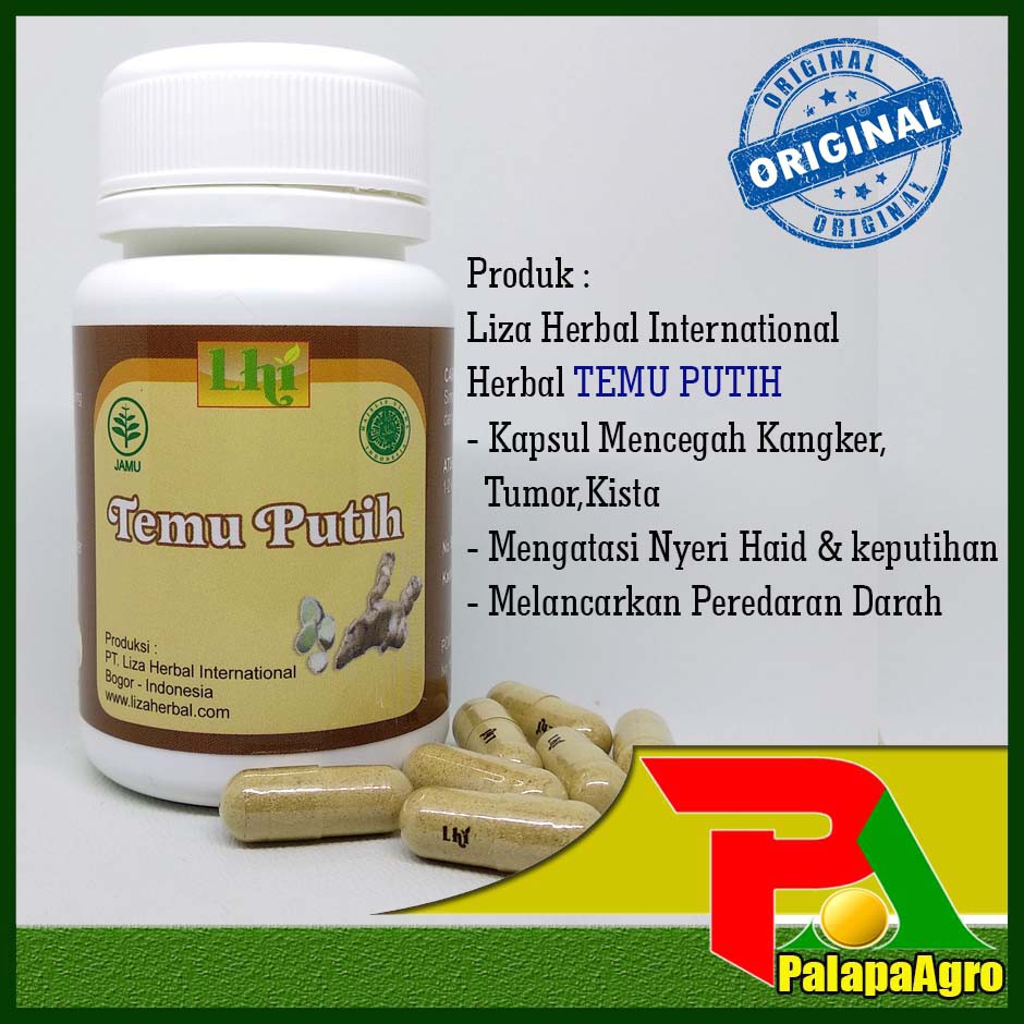 TEMU PUTIH Herbal Obat Kanker & KISTA