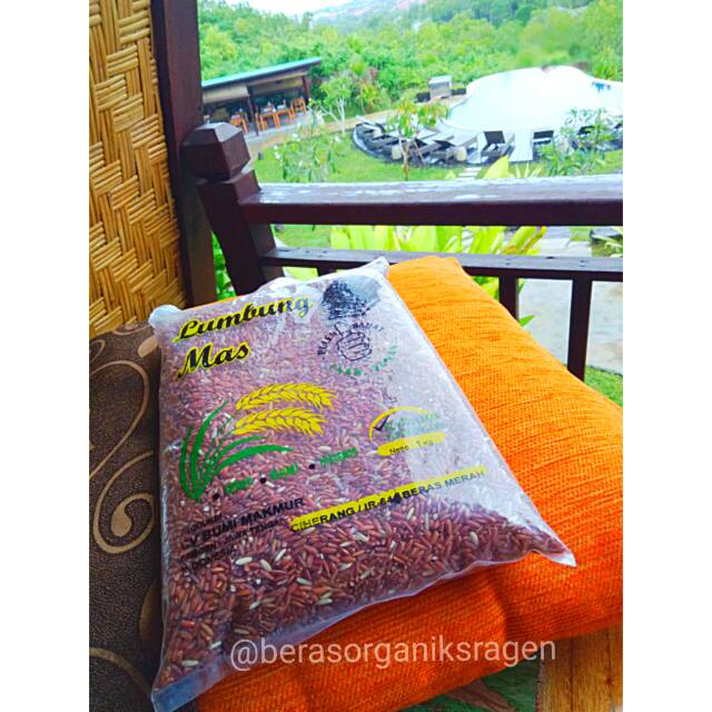 

Beras merah lumbungmas dipupuk dengan pupuk organik tanpa pestisida