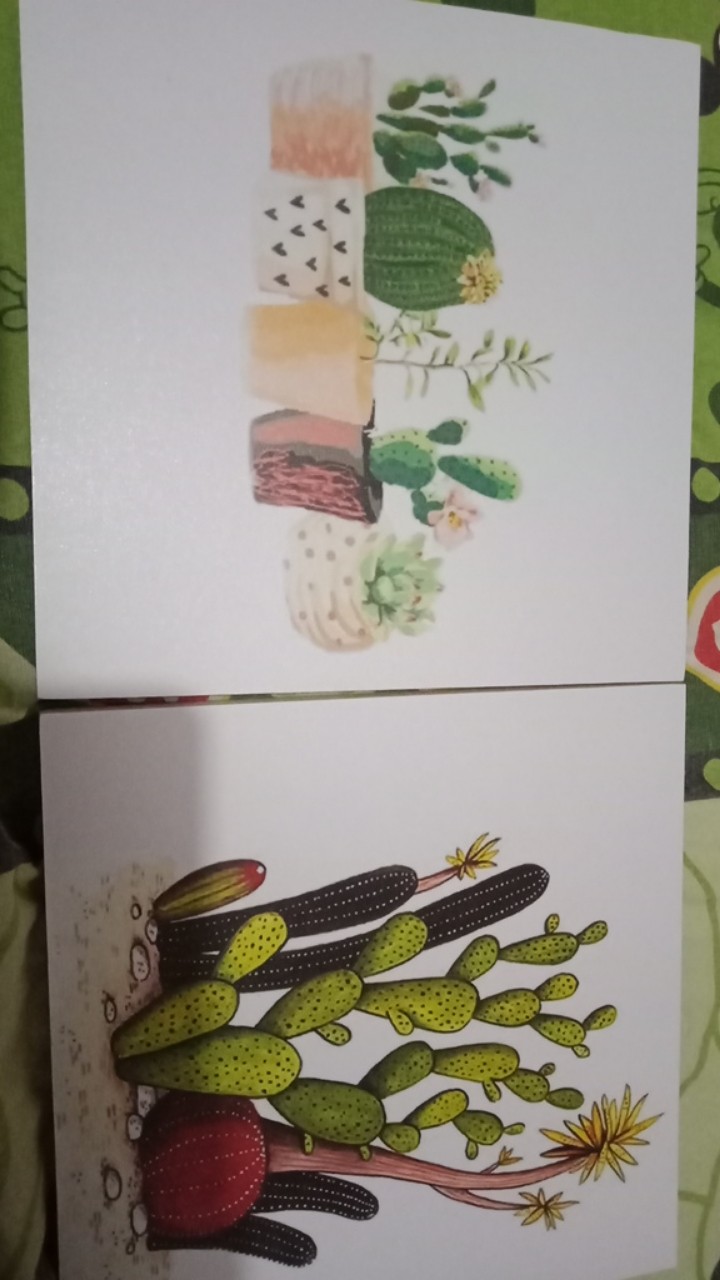 Wp Project Hiasan Dinding Walldecor Pajangan Dinding Shabby Chic Kaktus Succulents