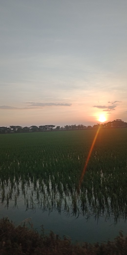 Cetak Foto 8r (20cm X 25cm) Proses Cepat Banyak Bonus