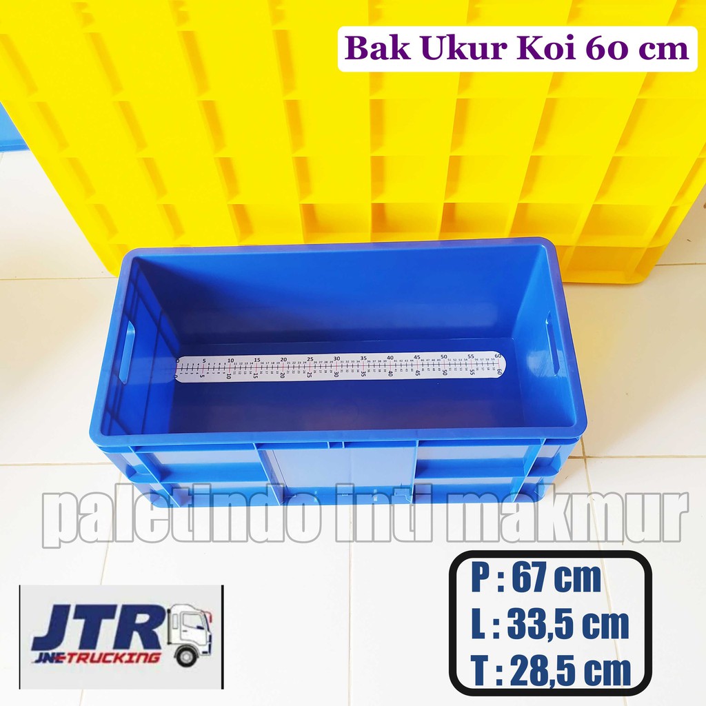 Bak Ukur Ikan Koi 60 Cm Kirim Kargo