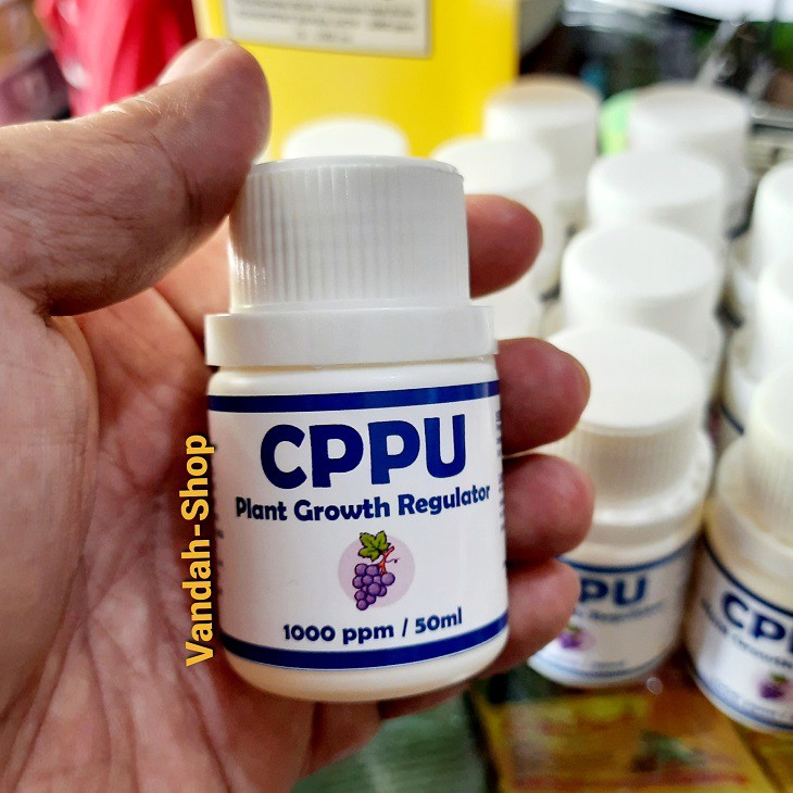 CPPU Plant Growth Regulator ZPT Pembesar Buah Anggur Jeruk Pear Apel