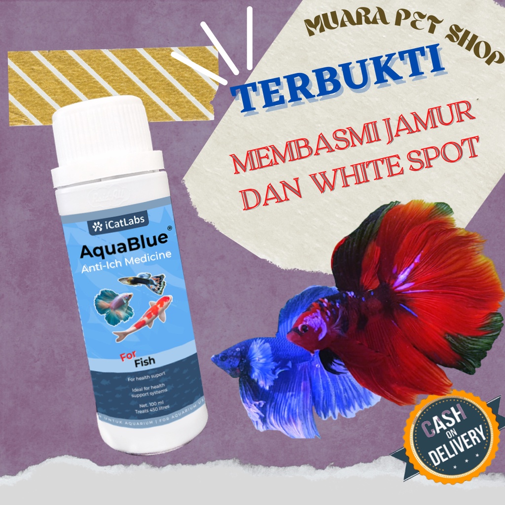 Jual Obat Biru Ikan Cupang Obat Cupang Obat Jamur Cupang Obat Biru Ikan Hias Aquarium Shopee