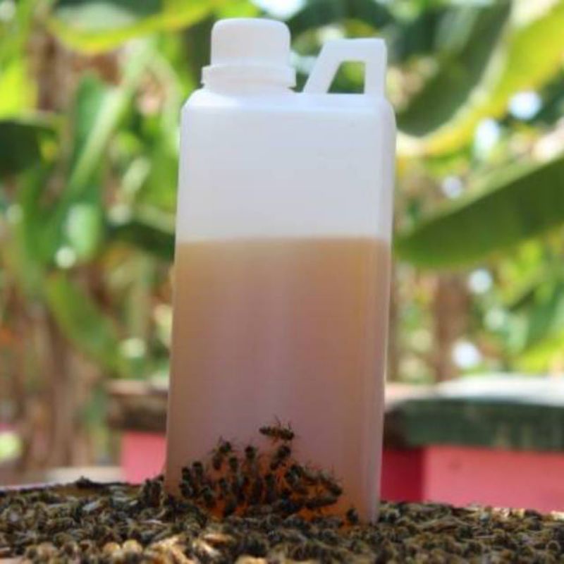 [Best] MADU MURNI NEKTAR BUNGA TANPA PROSES | Raw Honey 1000 gr/1 kg