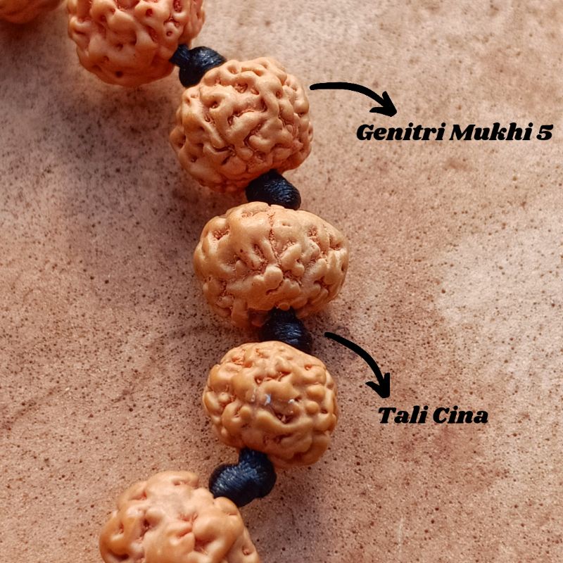 Gelang Genitri Split Tali Cina / Gelang Rudraksha Khas Bali / Gelang Rudraksa Bali / Aksesoris Rudraksa / Gelang GenitriKhas Bali / Gelang Kesehatan / Craft Dewata