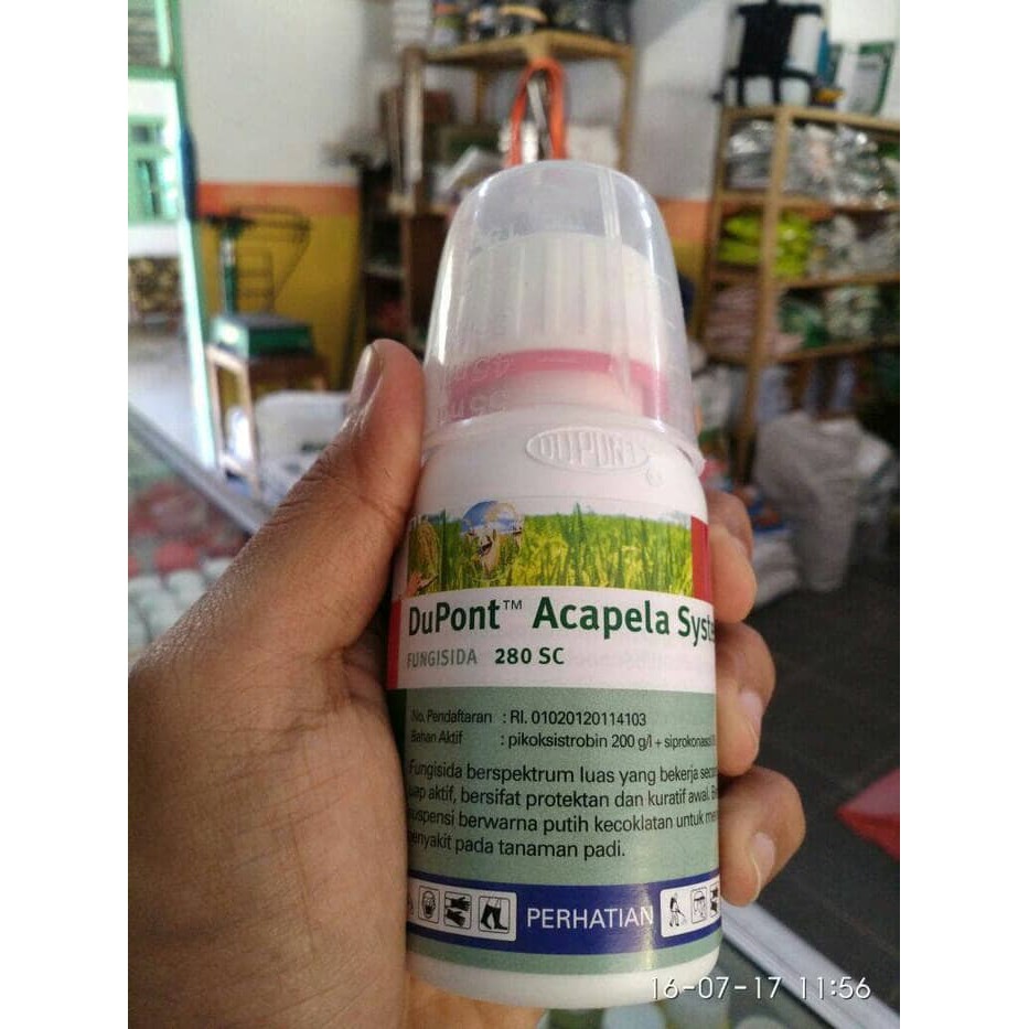 Fungsida Acapela Ampuh Basmi Virus Tanaman