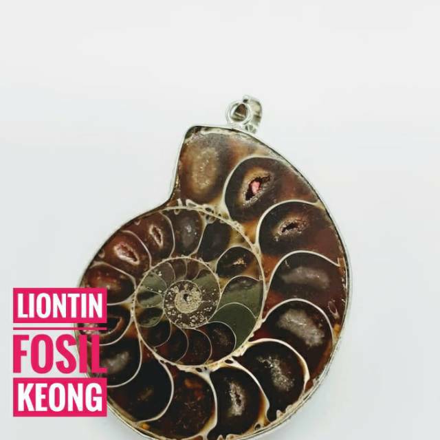 Liontin Fosil Keong