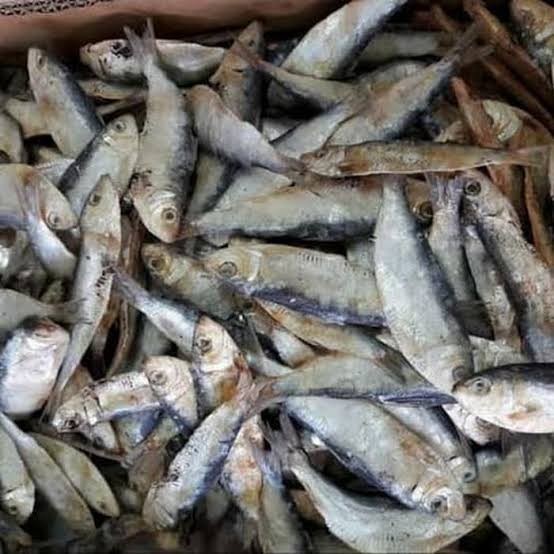 

Ikan Asin Tembang - 250 gram