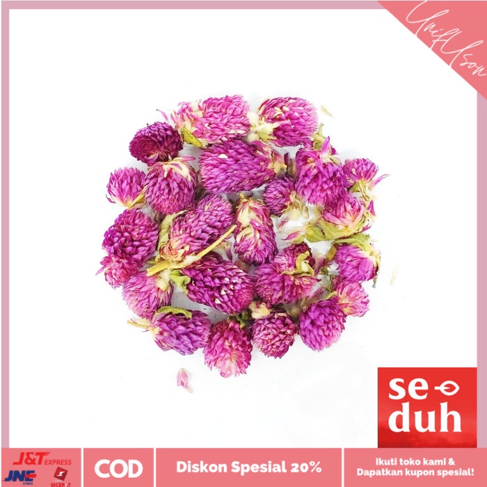 

⭐COD⭐ Teh Bunga Globe Amaranth Wholesale Grosir 250 gram / 500 gram - 500gr amaranth