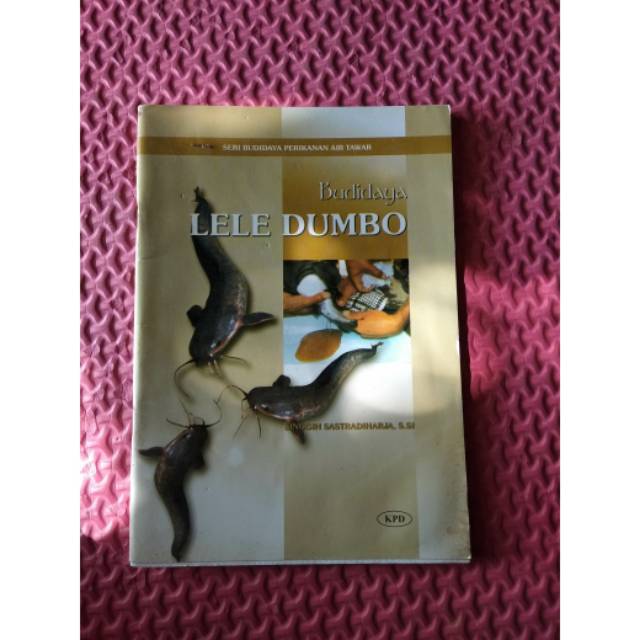 Budidaya Lele Dumbo