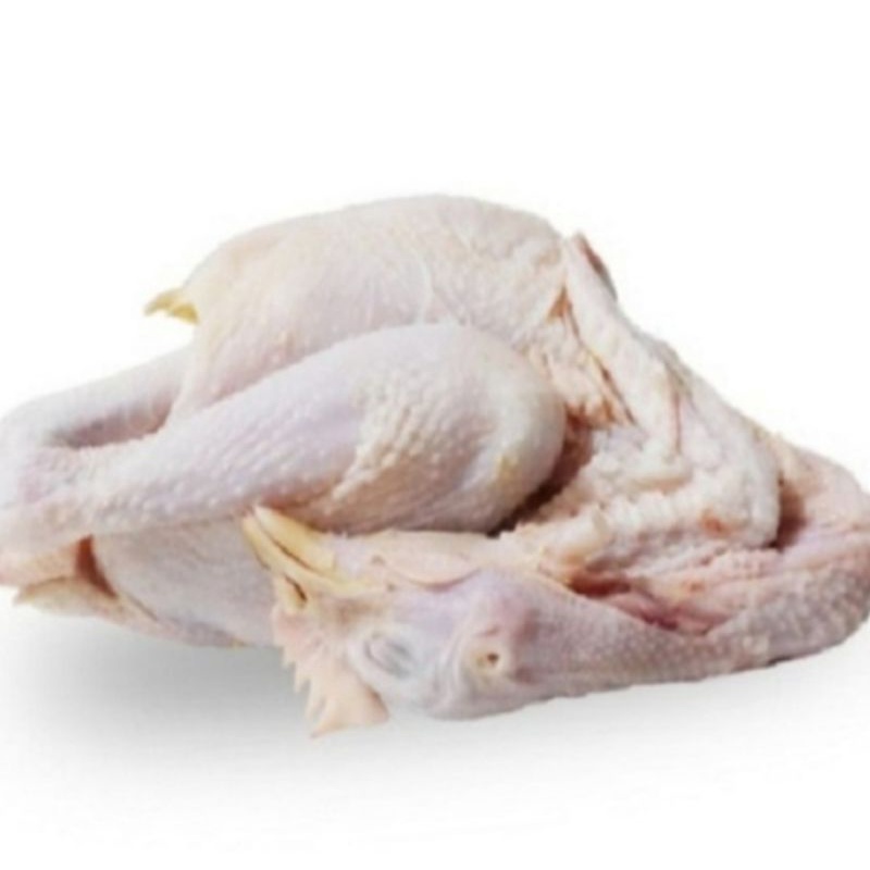

Ayam Pejantan 1 ekor - Gerobak Sayur Palembang