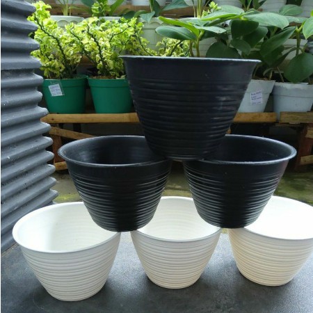 Pot Madu Madu 20cm Tawon Putih / Hitam Pot Murah Cantik Pot Kaktus Sukulen