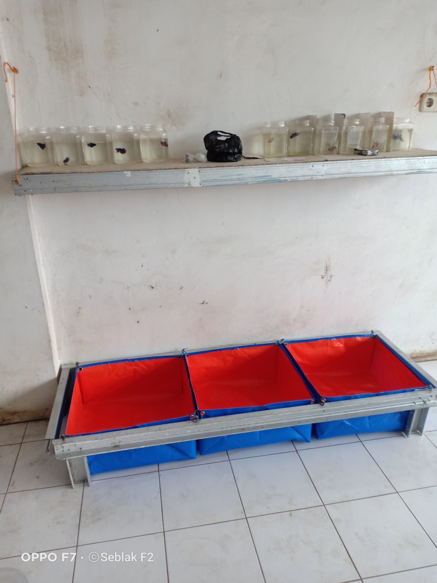 Kolam Mini Uk 50x50x25 A12 Sakera Made In Korean