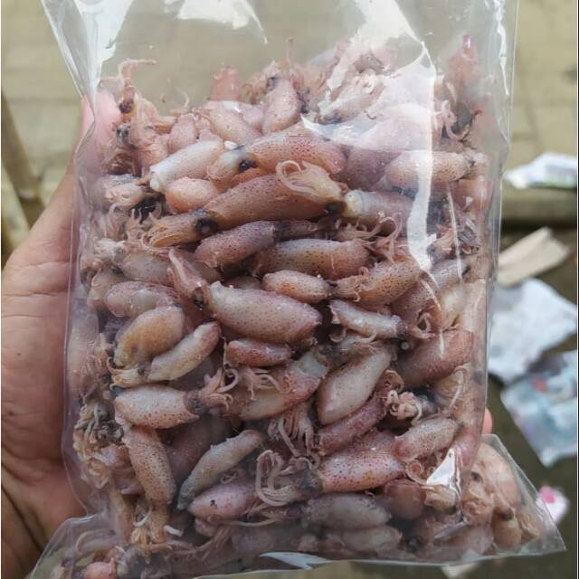

Baby cumi size 0.5-4 cm 1kg