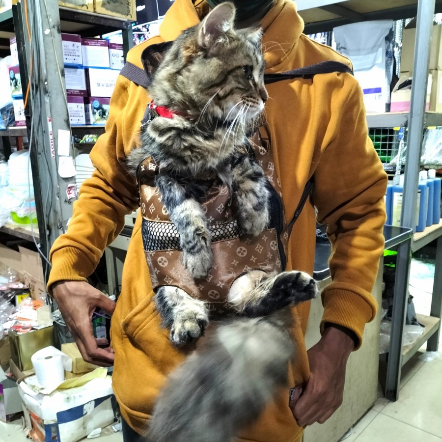 Tas Ransel gendongan Anjing kucing hewan peliharaan model Rompi depan belakang imp pet travel