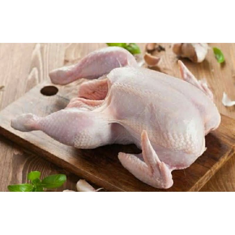 

Ayam Potong utuh 1 ekor