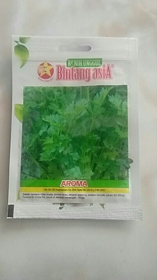 Benih Seledri Aroma 5000 Benih - Bintang Asia
