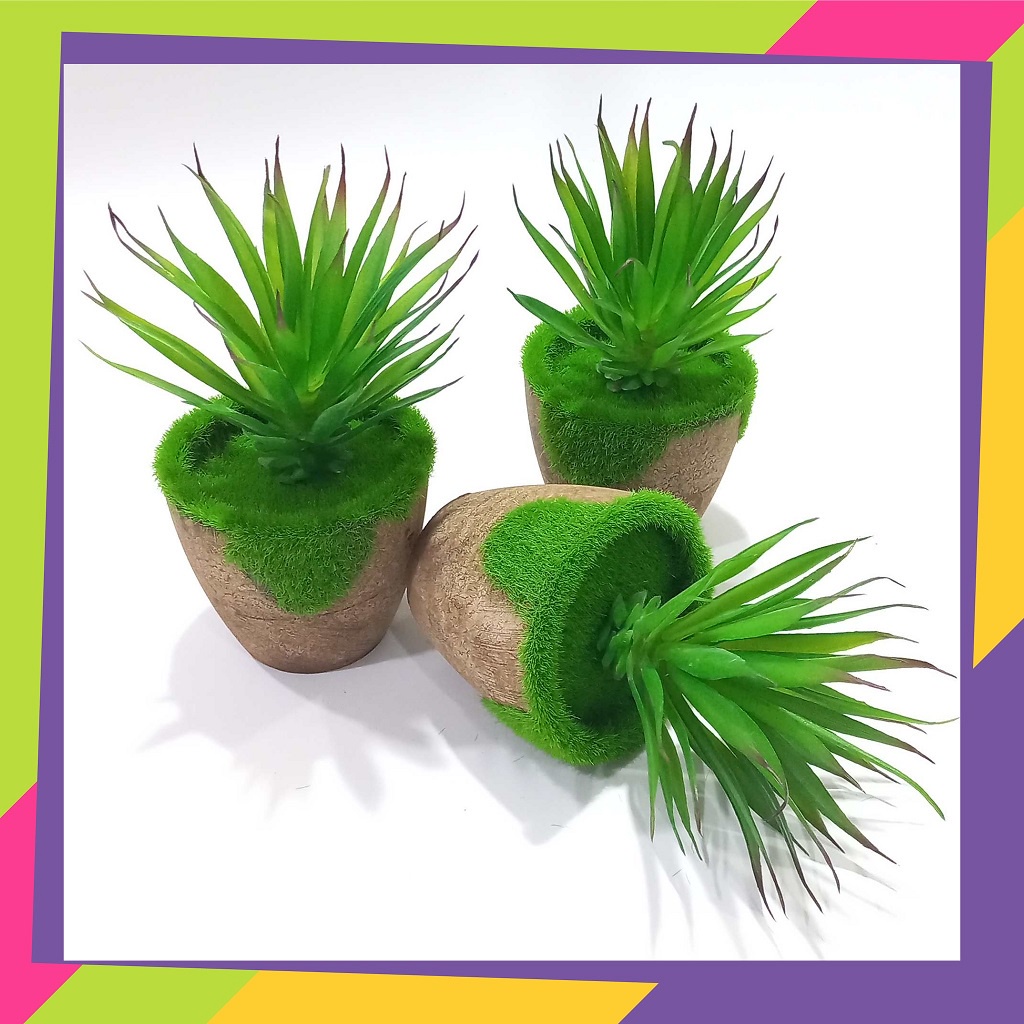 192D1 / Pot bunga lumut &amp; bunga tanaman kaktus pedang / Tanaman cactus artificial