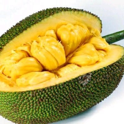 

nangka hijau