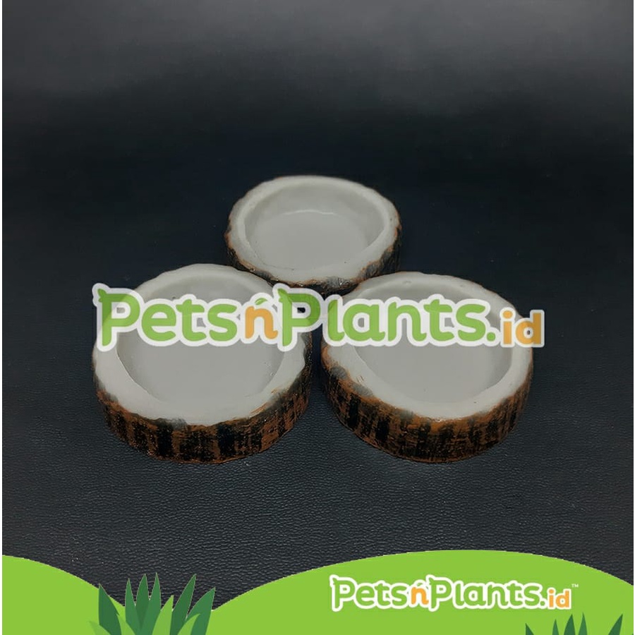 Tempat Makan Minum - Water Dish Reptil Ular Gecko Iguana Hamster Kecil