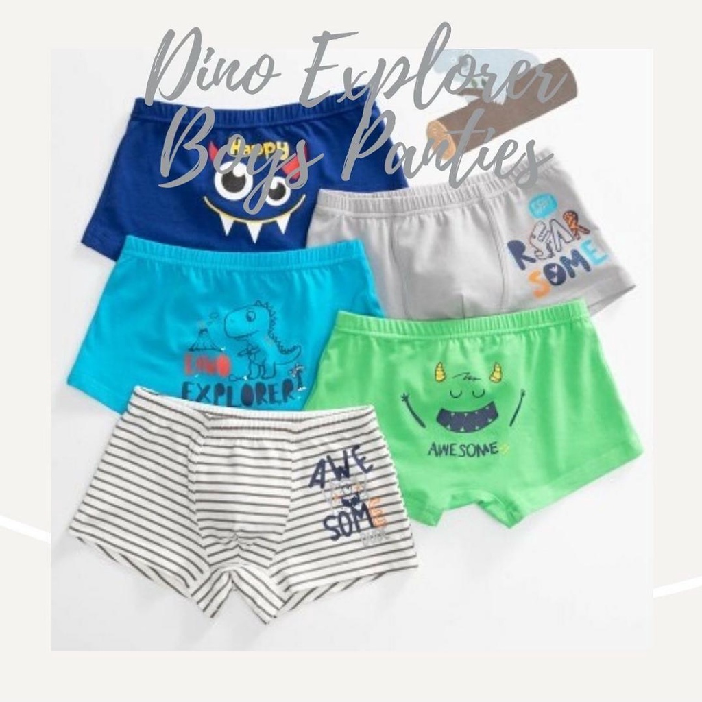 [Blisskids.id] Dino Explorer Boys Panties