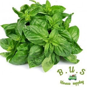 

Daun Kemangi 1 Kg B.U.S