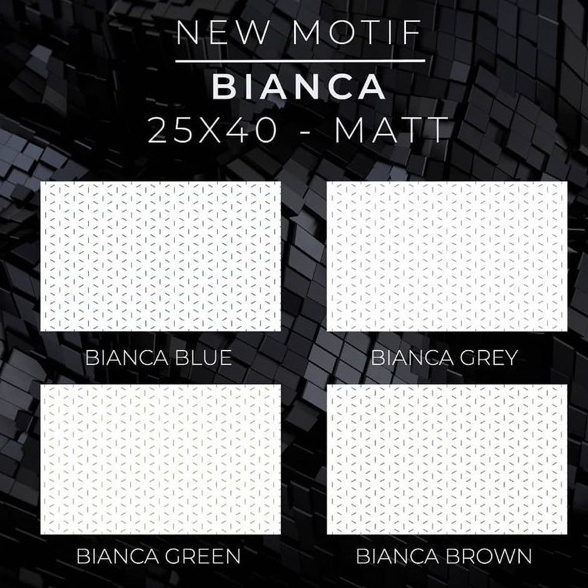 KERAMIK PLATINUM 25x40 BIANCA / MATT / PLATINUM CERAMIC
