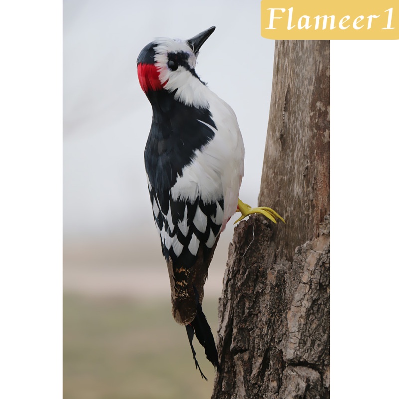 Jual Flameer1 Artificial Fur Woodpecker Bird Lawn Figurine Garden Yard Decor 33x10x6cm Indonesia Shopee Indonesia