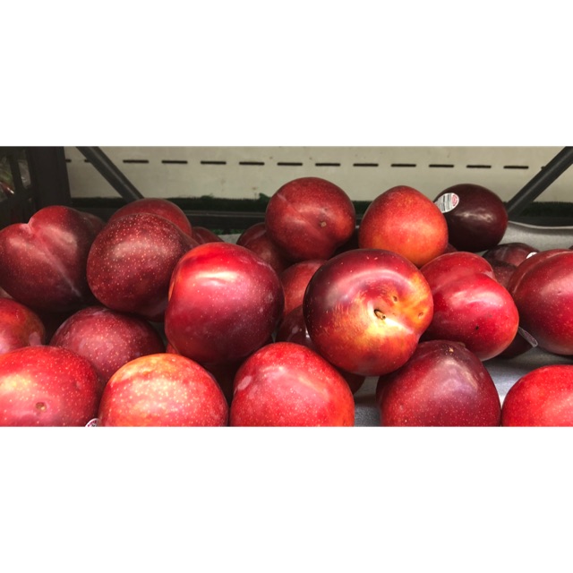 

PLUM Red USA 500gr