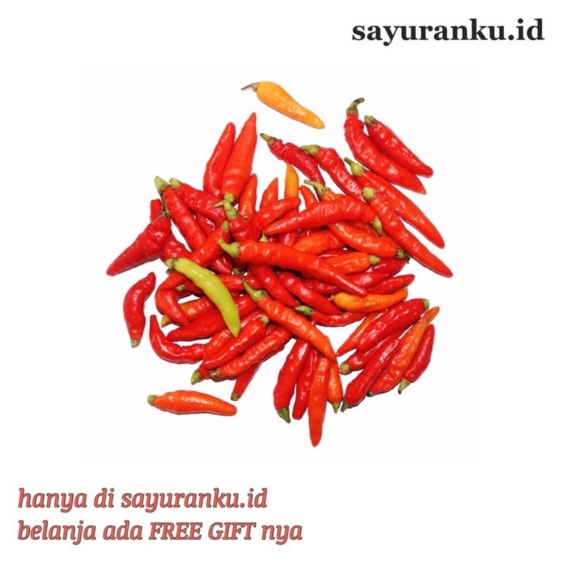 

cabe rawit merah 250 gram sayur segar sayuran fresh pasar murah pasar jakarta