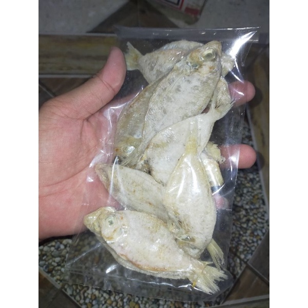 

Ikan Kapas Asin Siap Goreng Kemasan 100 Gram