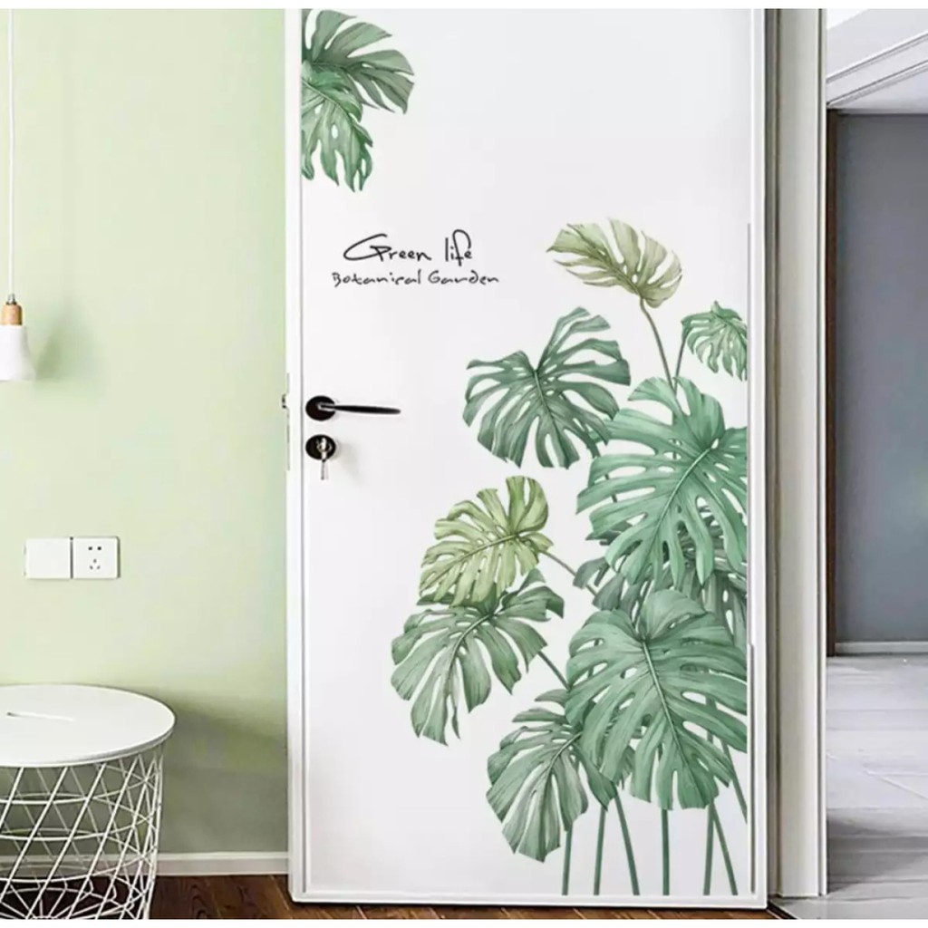 Paling Keren Wallpaper Dinding Motif Daun Monstera