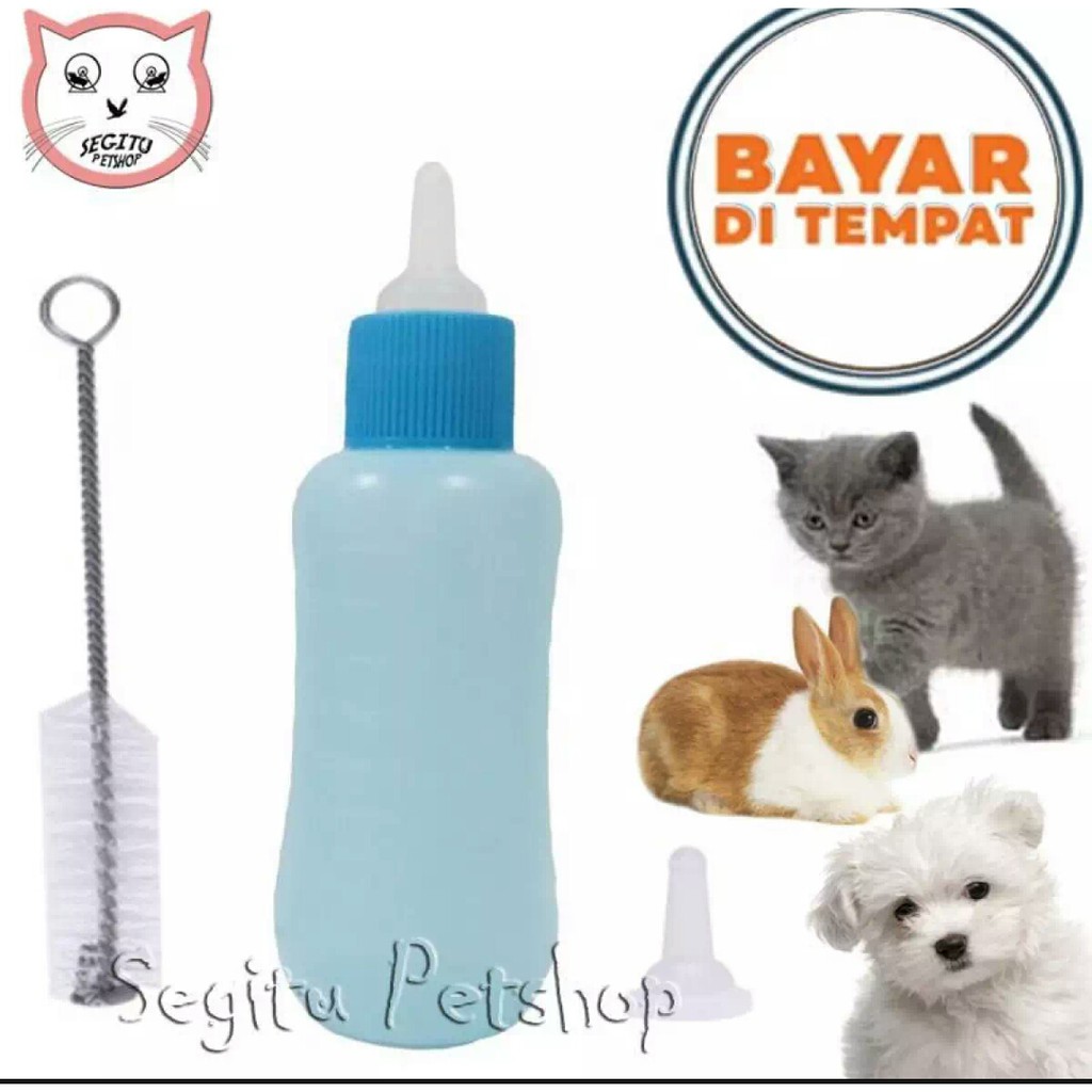 Dot susu anak kucing musang anjing dan hewan peliharaan lainnya