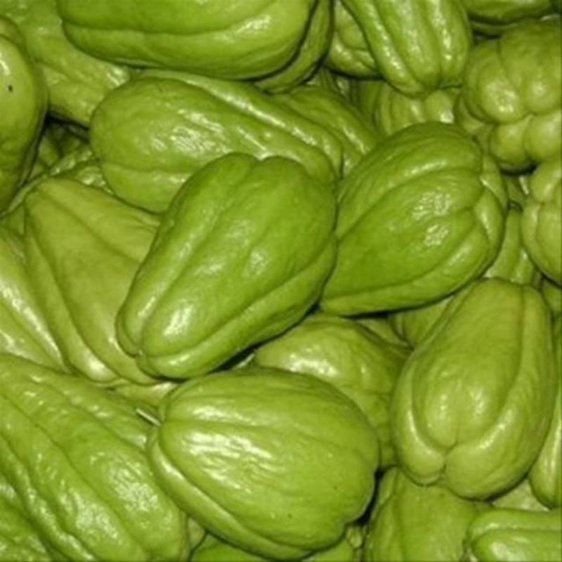 

Grosir Labu Siam Segar Besar 1 Buah 250 gram Murah