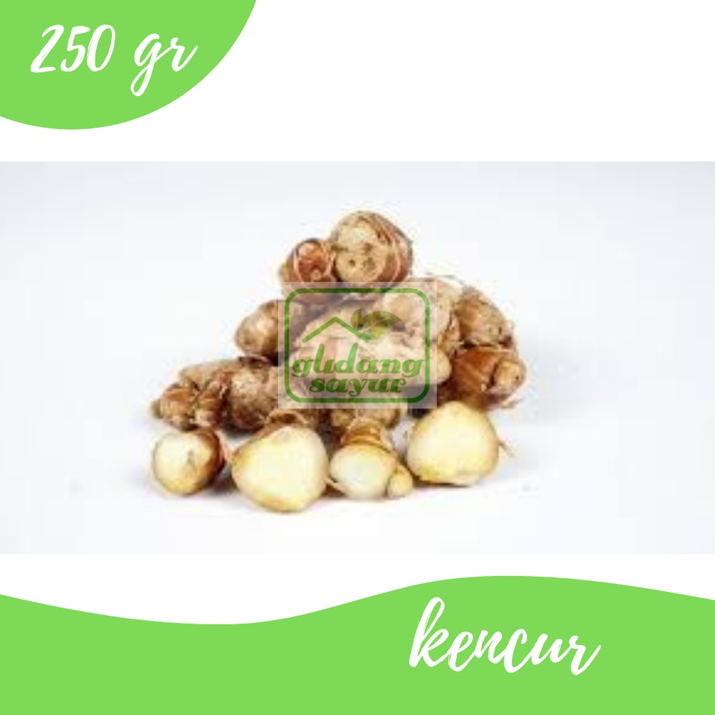 

Kencur 250g Gudang Sayur Purwokerto